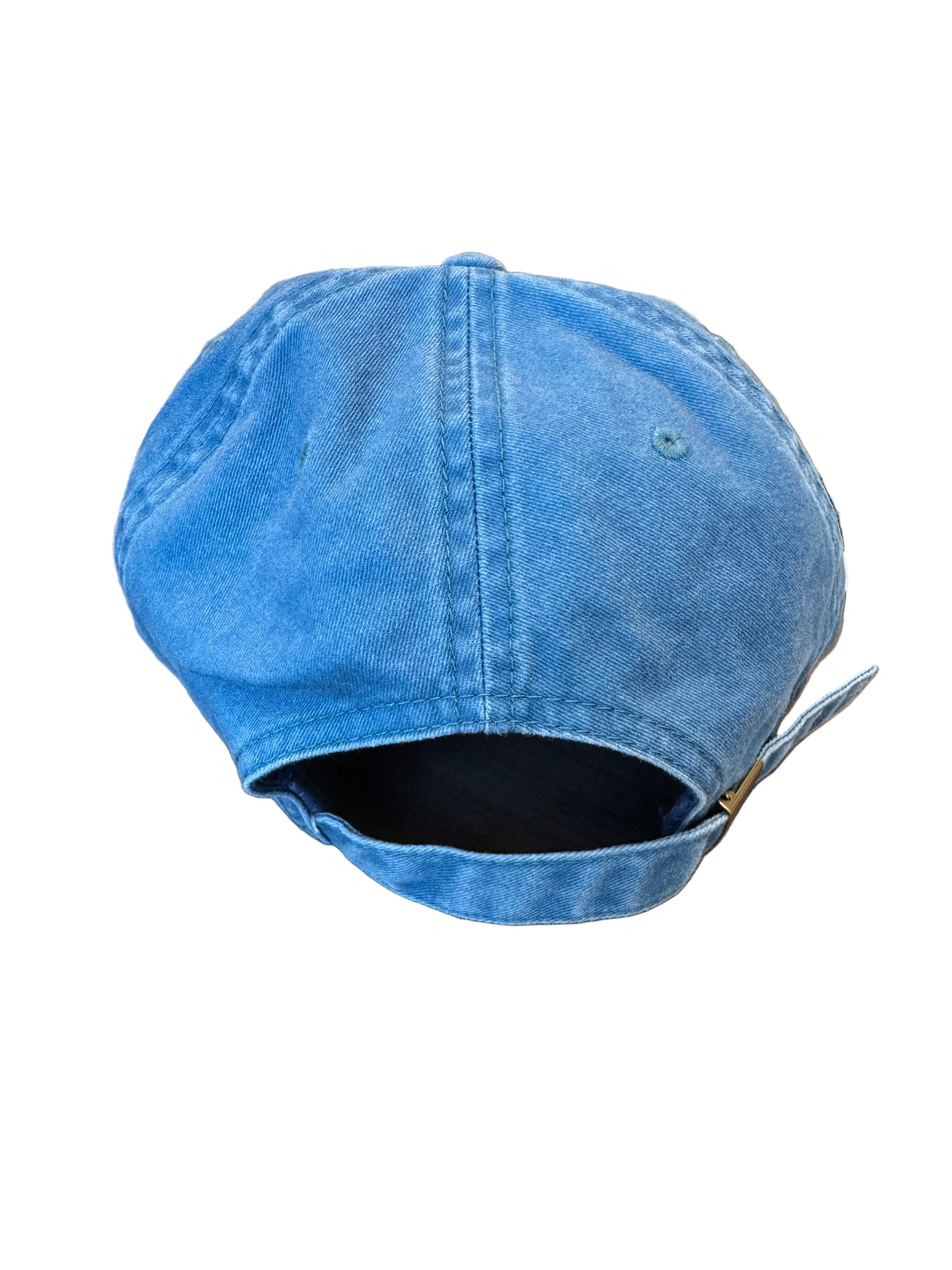 Terran Orbital Dad Hat